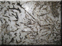 White granite